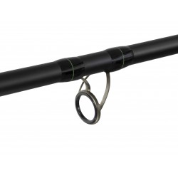 Шаранджийска въдица Delphin DUNAY Carp 300cm/200g/2 части