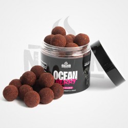 Hookbaits NBURN Ocean Berry